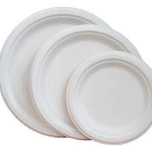 10" Round Paper/ Bagasse Plate 500/cs