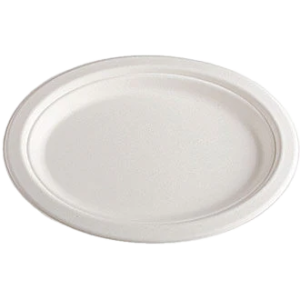 12" Oval Paper/ Bagasse Plate 500/cs